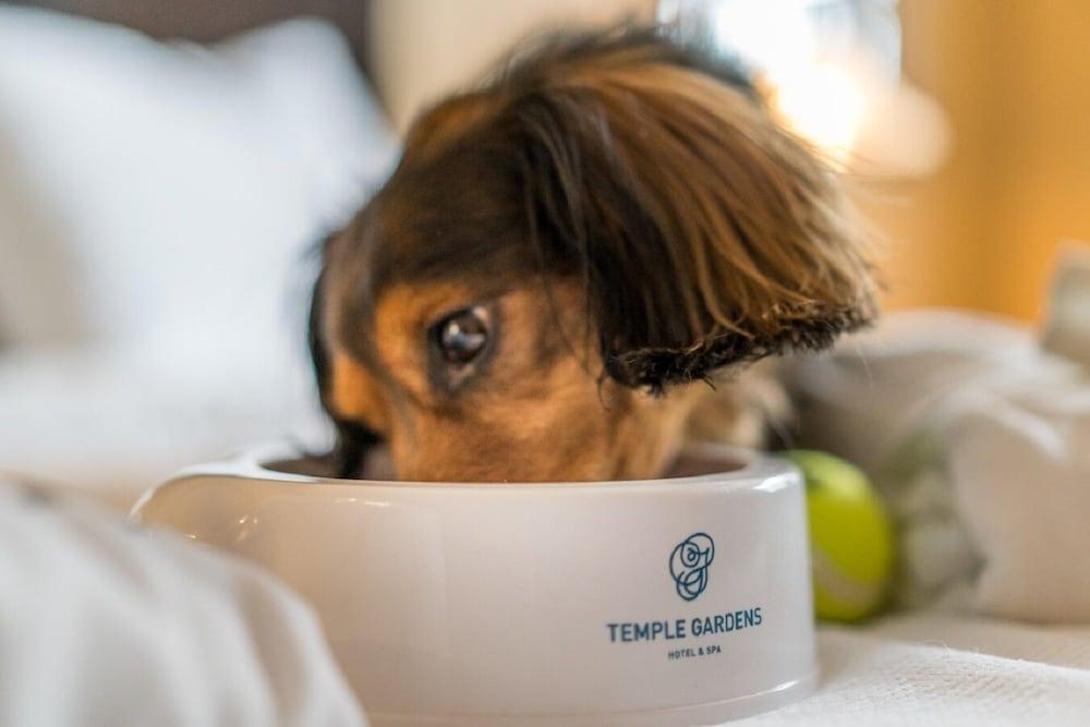 Temple Gardens Hotel & Spa Moose Jaw Eksteriør billede